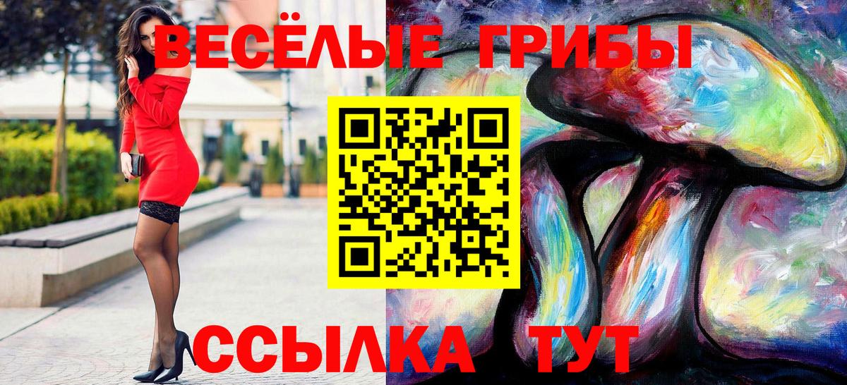 Галлюциногенные грибы Cubensis Сосновый Бор