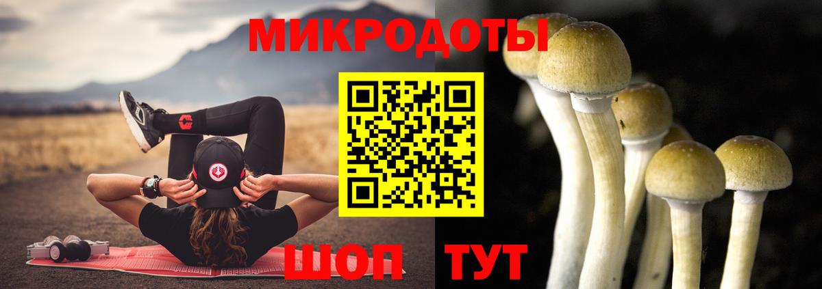 Псилоцибиновые грибы MAGIC MUSHROOMS  Вход с VPN  наркота  Сосновый Бор 