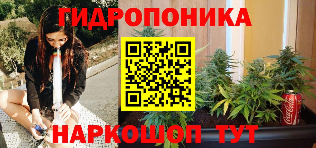 Конопля White Widow Сосновый Бор
